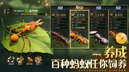 小小蟻國2