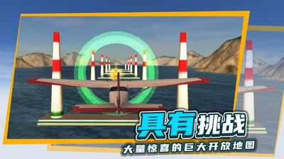 極限飛行模擬器1