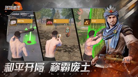 逆境重生手游2