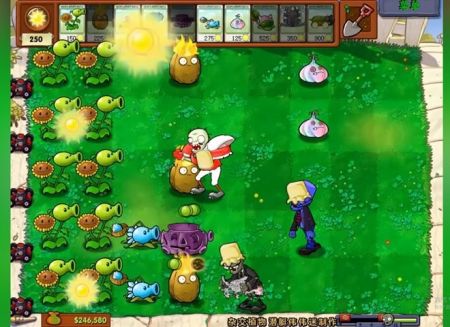 植物大戰(zhàn)僵尸雜交版官方正版0