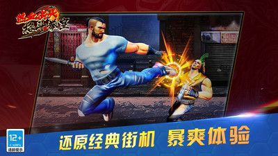 熱血街頭格斗拳皇3