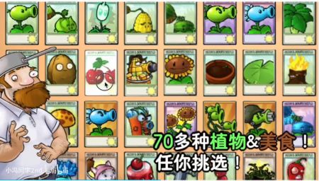 植物大戰僵尸時空之亂1