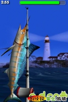 釣大魚精簡版 Big Sport Fishing Lite v1.720