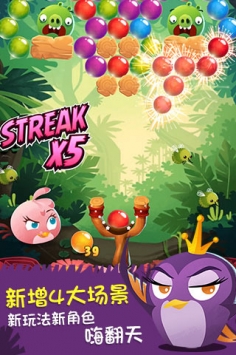 憤怒的小鳥泡泡大戰(zhàn)4