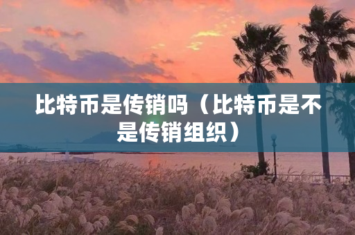比特幣是傳銷嗎?（比特幣是不是傳銷組織）