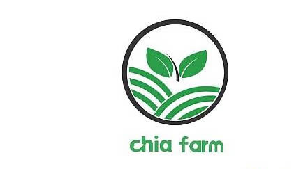 關(guān)于Chia挖礦知識,給大家普及一下