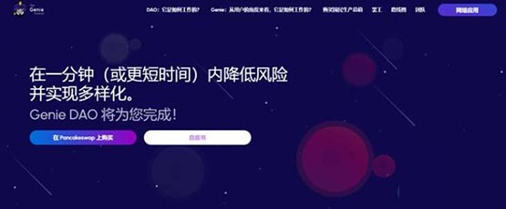 GNP幣全面詳細(xì)介紹?GNP是什么幣種