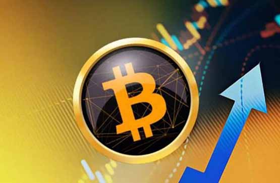 比特幣期權盈利價格怎么算的?