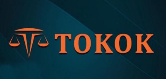 TOK是什么幣種?Tokenplace/TOK幣全面介紹