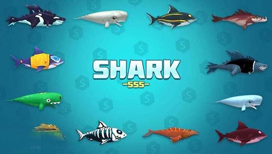 SEA幣合約地址多少?SEA幣最新價格