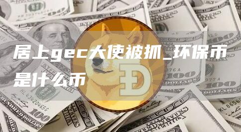 居上gec大使被抓_環(huán)保幣是什么幣?