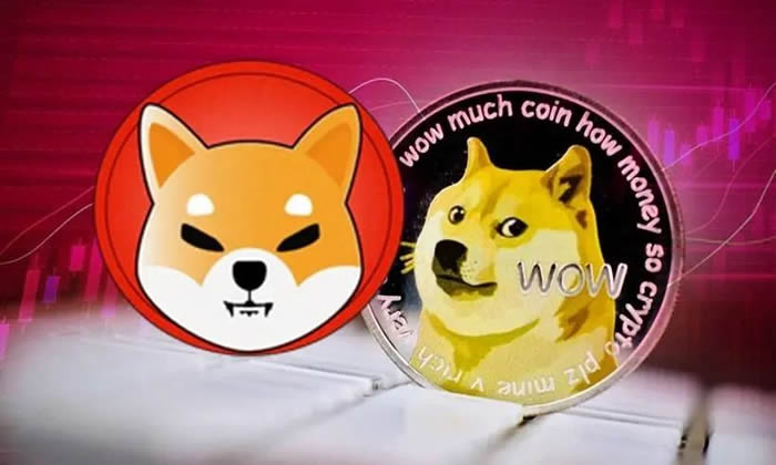 meme幣暴漲背后 怎么把握meme季?