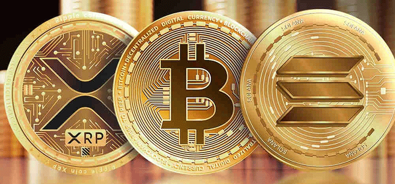 2024年最有潛力的幣盤點_100倍山寨幣