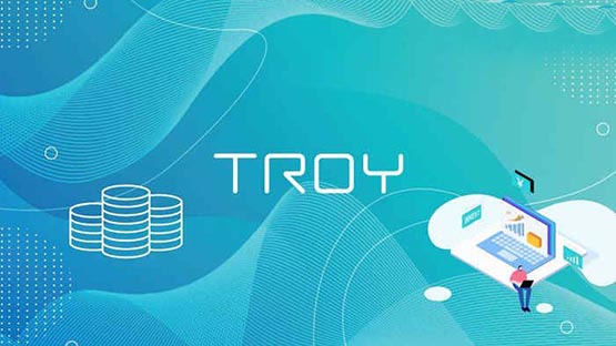 TROY是什么幣種?TROY幣前景及價值深度分析