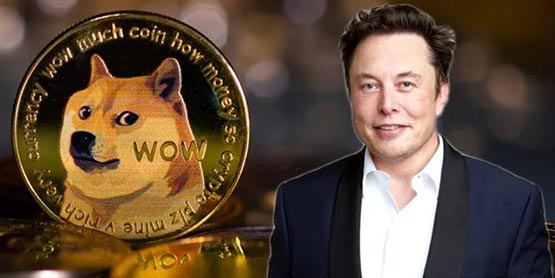 馬斯克喊盤:將開放狗狗幣買特斯拉！DOGE_狗狗幣跳漲15%！