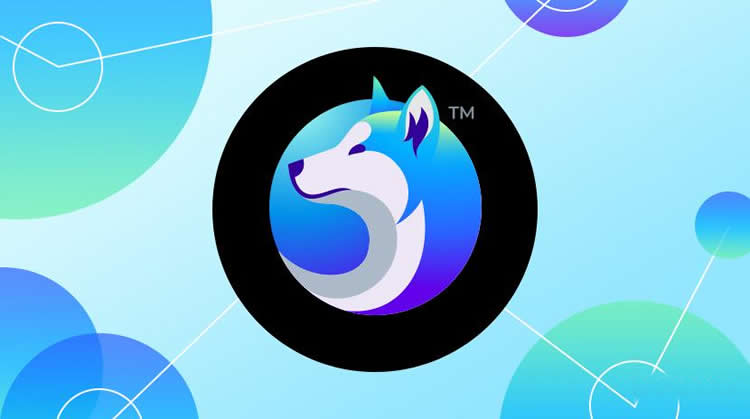 秋田犬幣（AKITA）值得投資嗎?AKITA幣還會暴漲嗎?