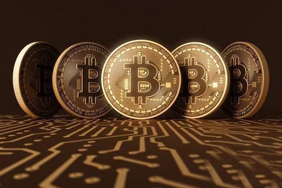 比特幣市值占比在哪看?比特幣市值占比查詢辦法