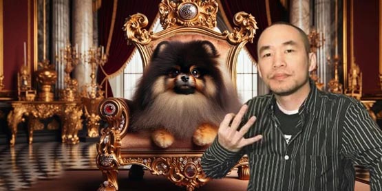 Bobaoppa創歷史新高！黃立成：就說我家狗兒子Meme幣是先跌后漲