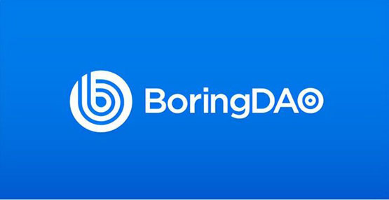 BORING是什么幣種?一文了解BORING幣前景?