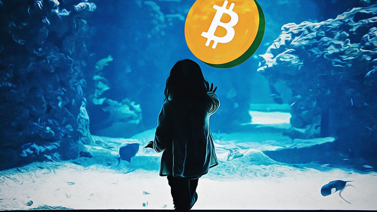 【BTC的牛市會繼續(xù)嗎?】?比特幣價(jià)格即將超過10萬美元
