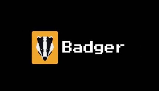 一文搞清楚BADGER幣還能漲回來嗎?