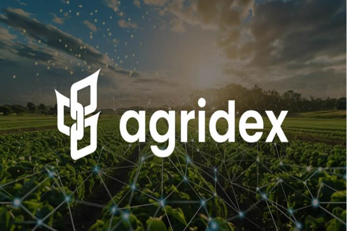 Solana鏈上農產品代幣化平臺AgriDex完成首筆咖啡跨國交易！大幅提高效率