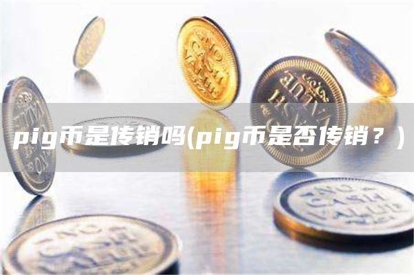 pig幣是傳銷嗎?