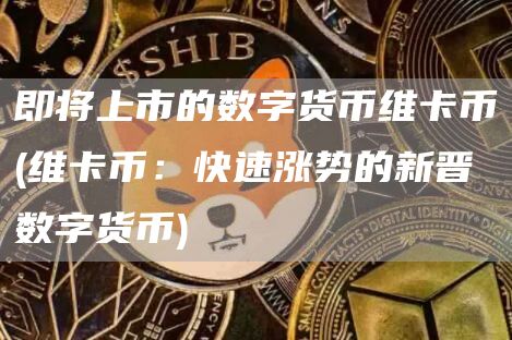 即將上市的數(shù)字貨幣維卡幣