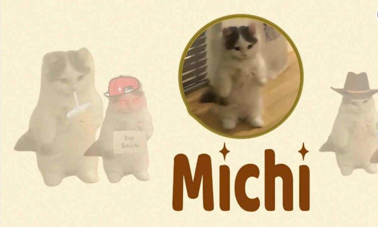MICHI幣能漲多少?MICHI幣還可以嗎?怎么買?