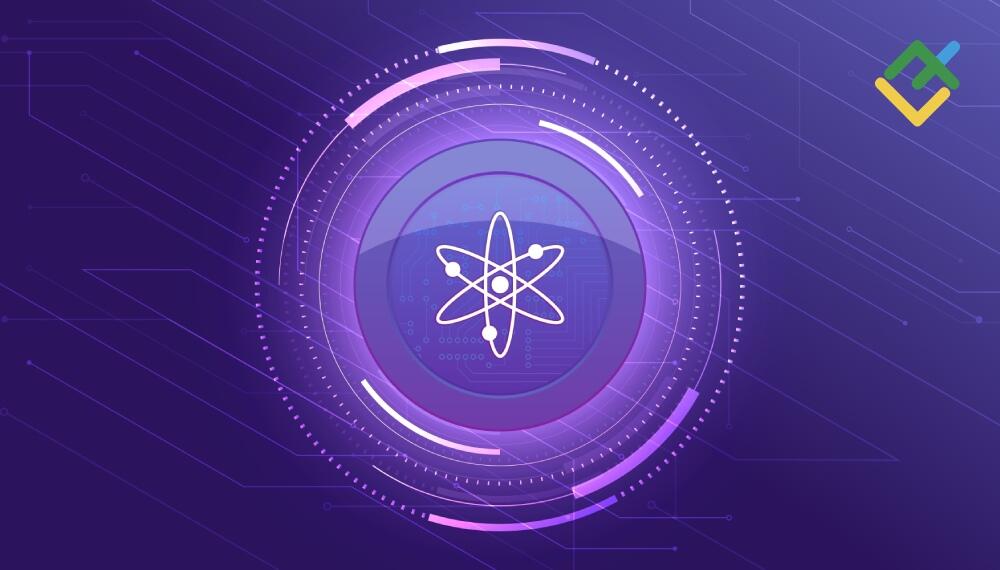 LiteFinance: 8. 波卡幣 (DOT)