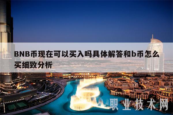 BNB幣現在可以買入嗎?具體解答和b幣怎么買細致分析?