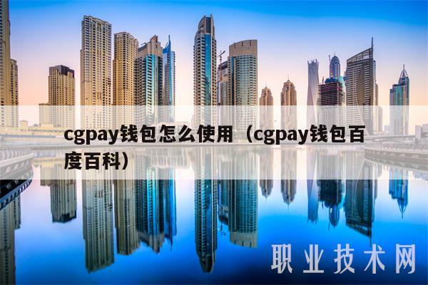 cgpay錢包怎么使用（cgpay錢包百度百科）