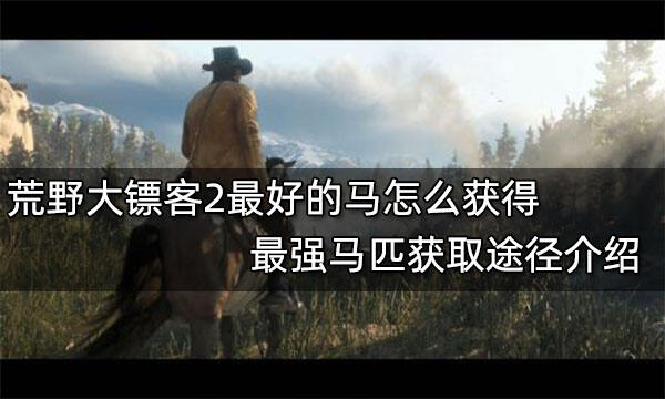 荒野大鏢客2最好的馬怎么獲得 最強馬匹獲取途徑介紹