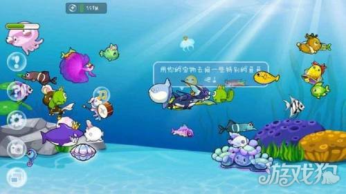 開心水族箱桃花魚怎么合成?【桃花魚合成技巧】