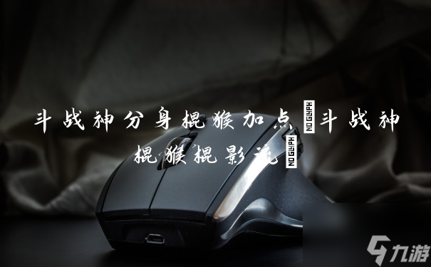 斗戰神棍猴棍影流(斗戰神分身棍猴加點)