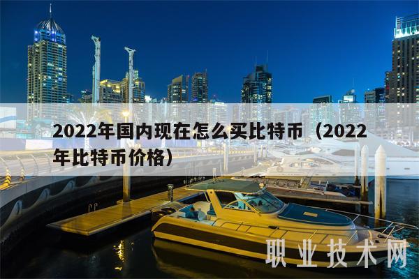 2022年國內現在怎么買比特幣（2022年比特幣價格）