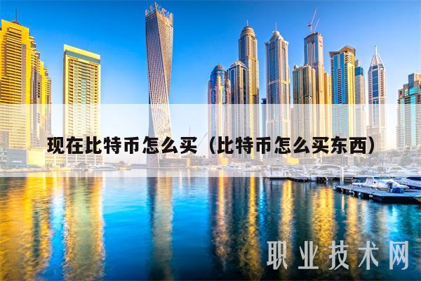現在比特幣怎么買（比特幣怎么買東西）