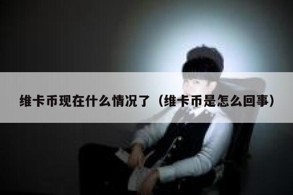 維卡幣現在什么情況了（維卡幣是怎么回事）