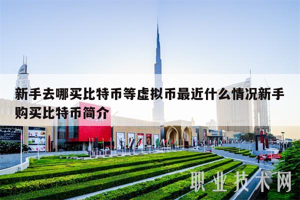 新手去哪買比特幣等虛擬幣最近什么情況新手購買比特幣簡介?