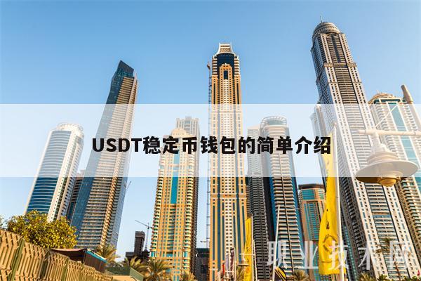 USDT穩(wěn)定幣錢包的簡單介紹