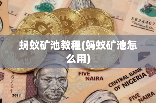 螞蟻礦池教程