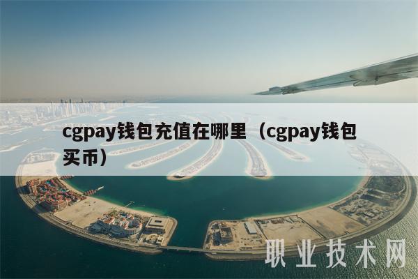 cgpay錢包充值在哪里（cgpay錢包買幣）
