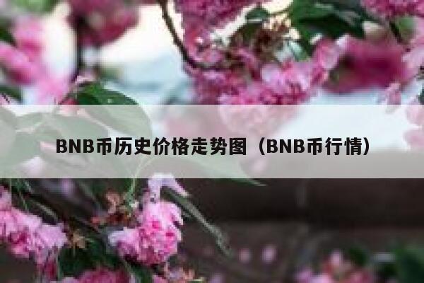 BNB幣歷史價格走勢圖（BNB幣行情）