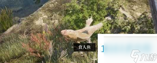 上古卷軸4湮滅重制版哪些任務要避坑