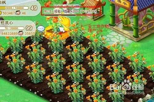 QQ農(nóng)場土地種植最優(yōu)化金幣種植方案推薦_qq農(nóng)場有機(jī)種子攻略