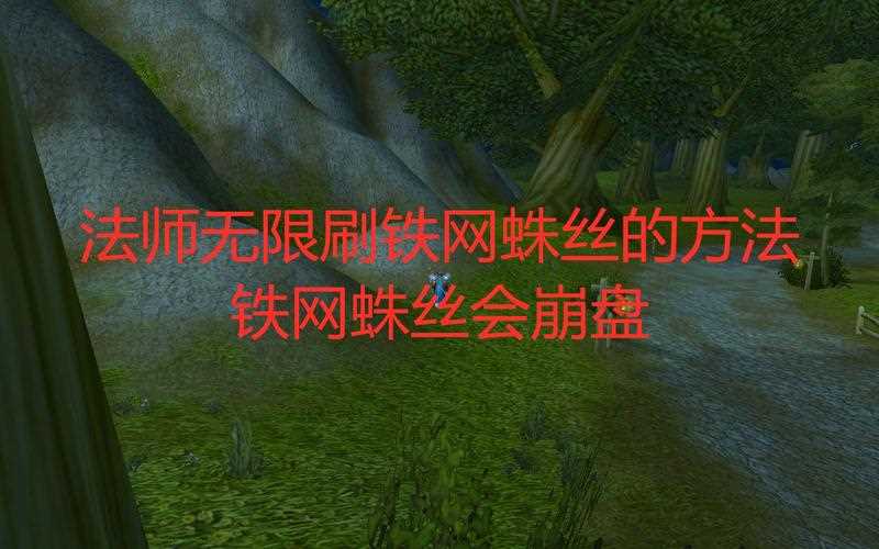 魔獸世界鐵網(wǎng)蛛絲在哪里刷 鐵網(wǎng)蛛絲刷新位置_鐵網(wǎng)蛛絲攻略