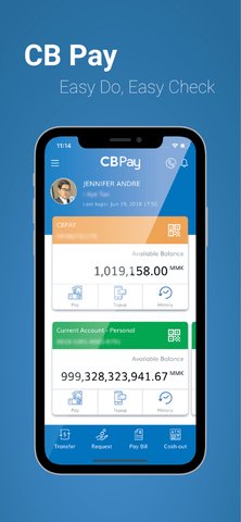 cbpayv1.350