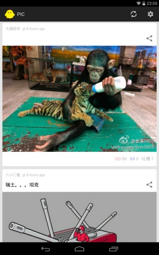 煎蛋1