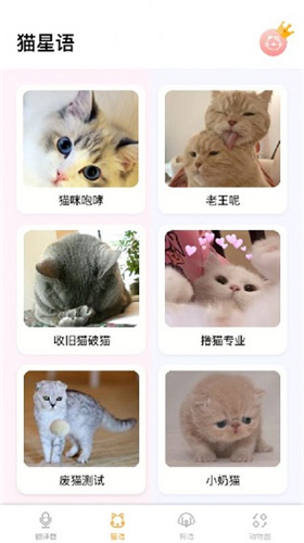 貓語翻譯大師免費版0