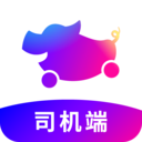 花小豬車主